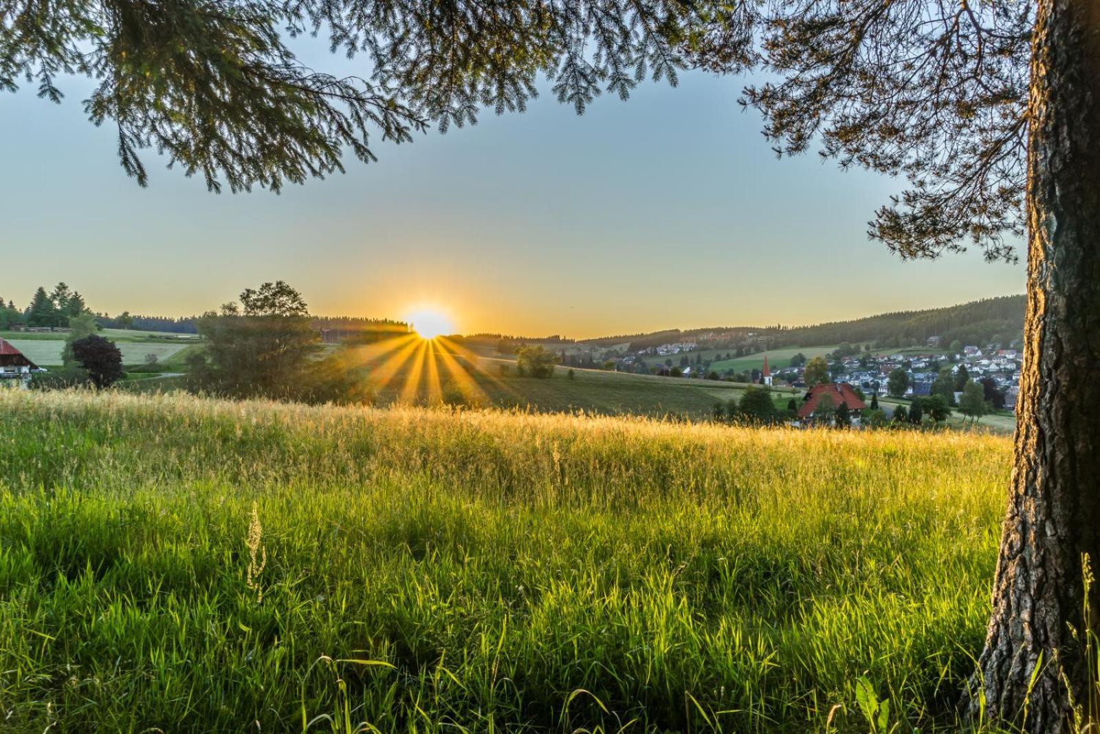 Landhaus Panoramablick Schonach im Schwarzwald Ngoại thất bức ảnh