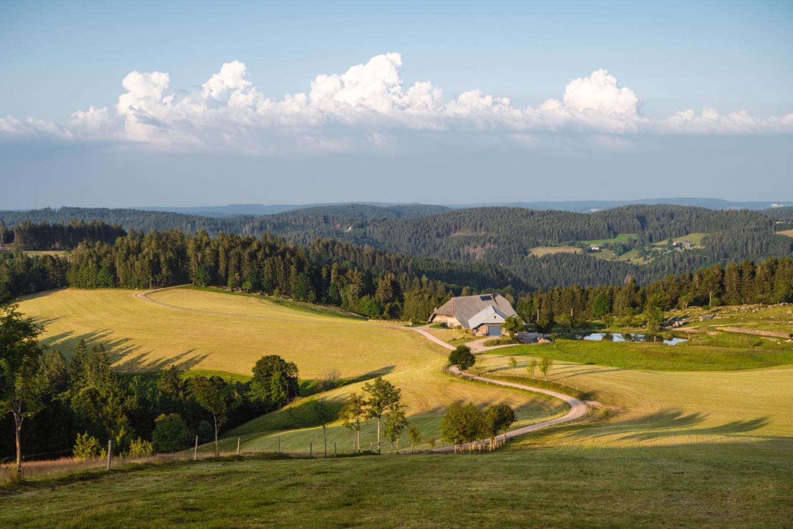 Landhaus Panoramablick Schonach im Schwarzwald Ngoại thất bức ảnh