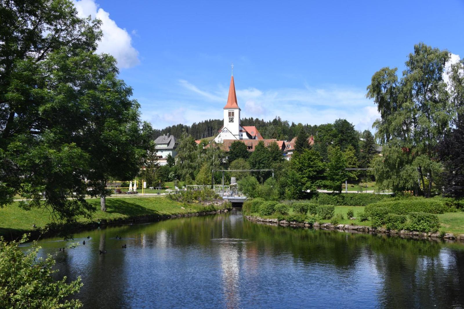 Landhaus Panoramablick Schonach im Schwarzwald Ngoại thất bức ảnh