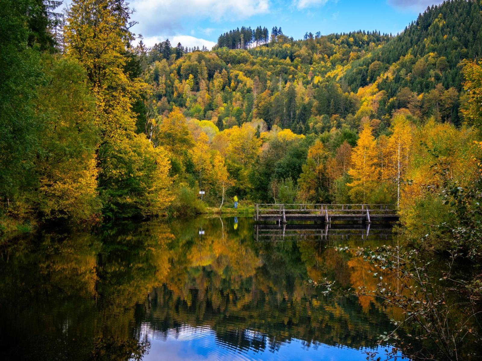 Landhaus Panoramablick Schonach im Schwarzwald Ngoại thất bức ảnh