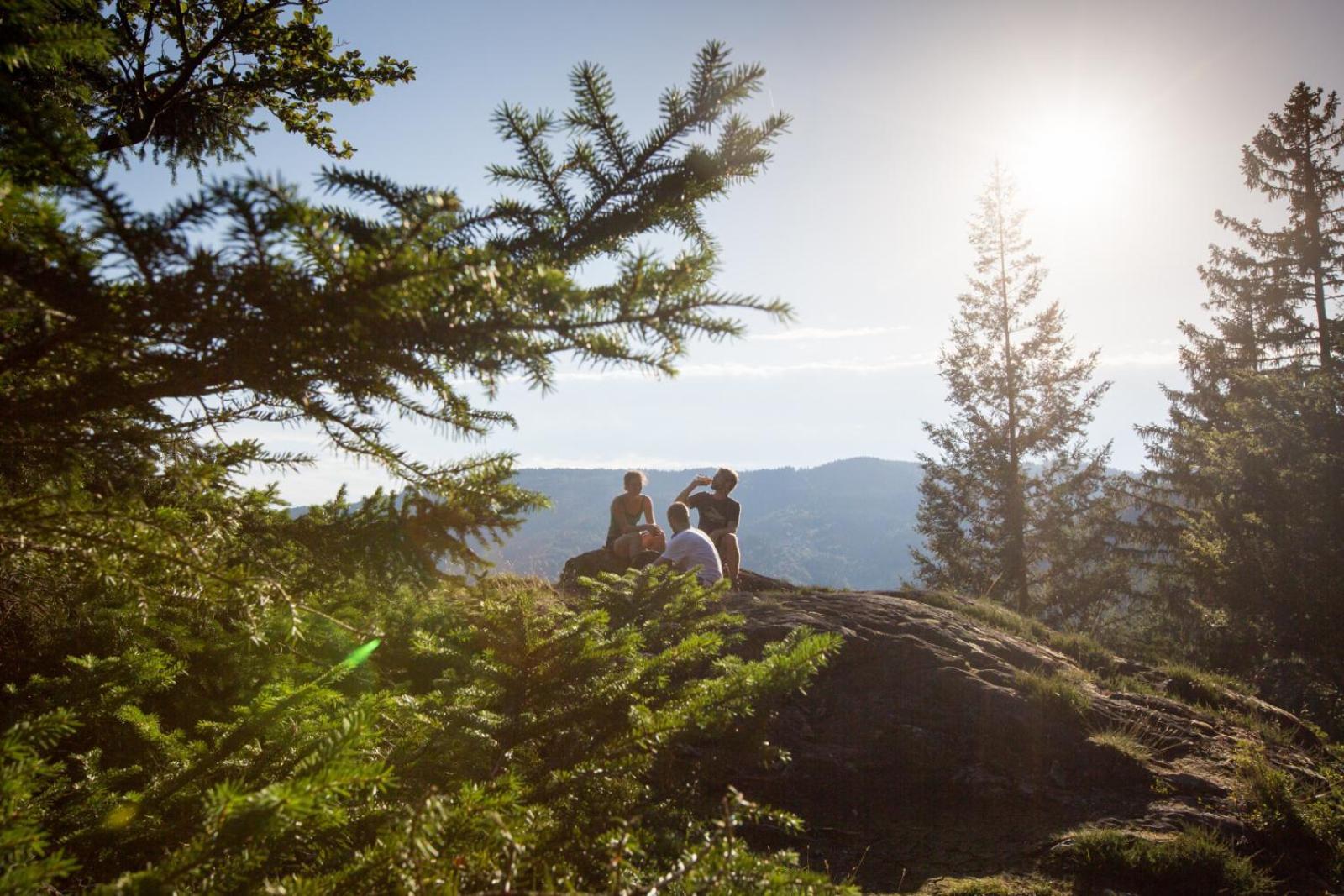 Landhaus Panoramablick Schonach im Schwarzwald Ngoại thất bức ảnh